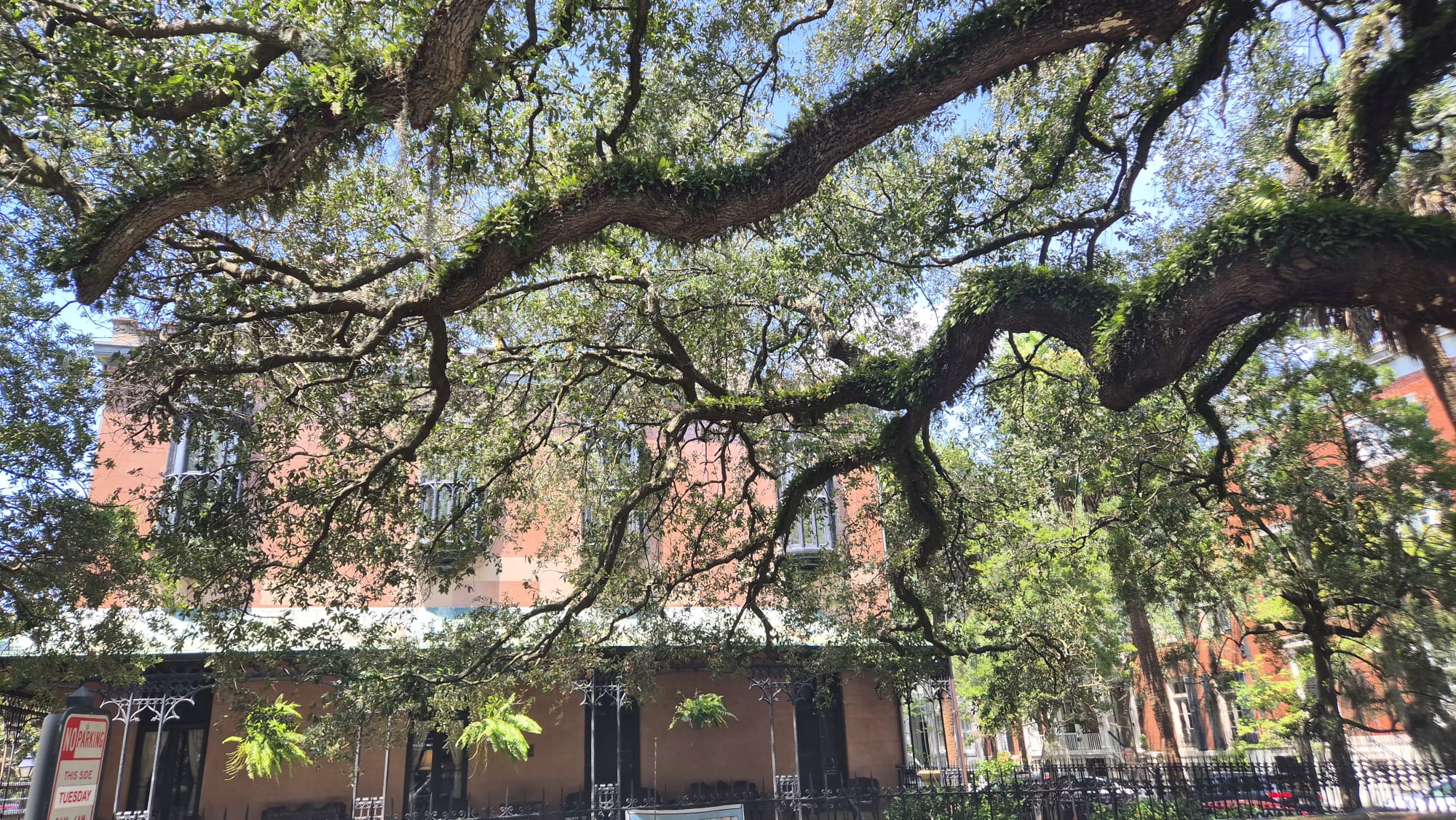 Savannah, Tybee Island, Charleston… și șeriful